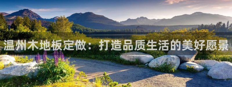 中欧体育zoty下载