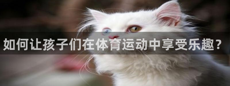 zoty中欧体育网址多少