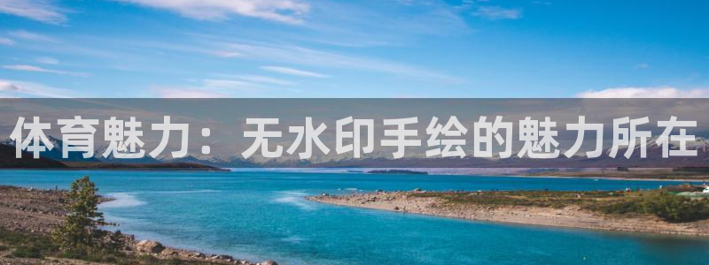 中欧体育