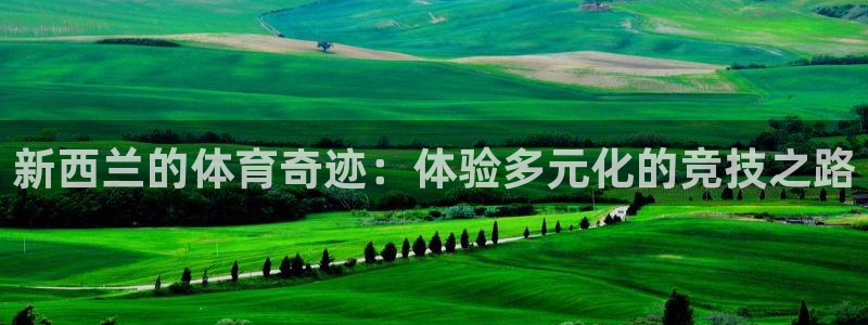 zoty中欧体育网址多少
