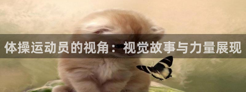 zoty中欧体育