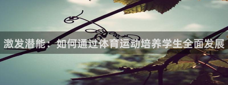 中欧体育kok