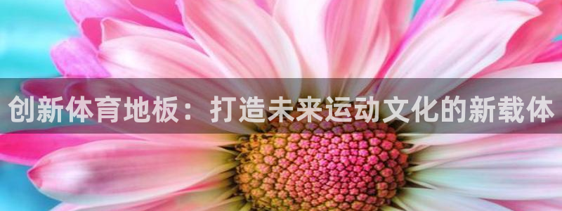 中欧体育kok官网首页：创新体育地板：打造未来运动文化的新载体
