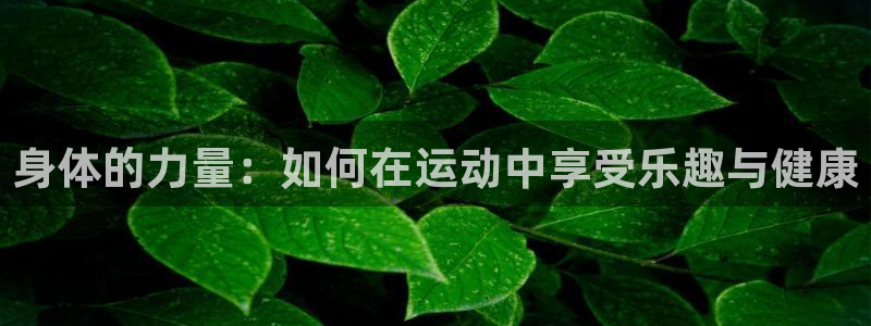 中欧体育kok