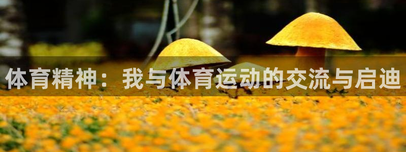 zoty中欧体育平台：体育精神：我与体育运动的交流与启迪