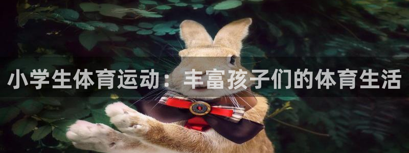 中欧体育ac米兰：小学生体育运动：丰富孩子们的体育生活