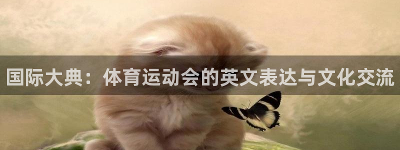 中欧体育李勇鸿：国际大典：体育运动会的英文表达与文化交流